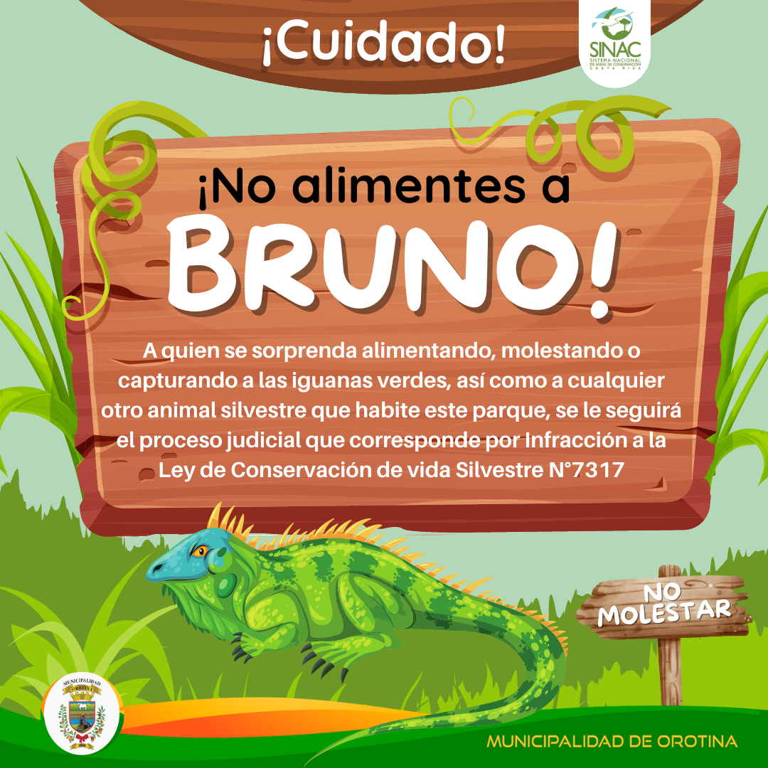 ??? ¡Cuidado no alimentes a Bruno! 